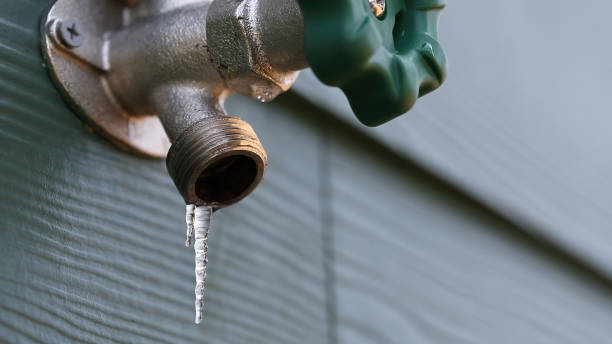 Best Drain Cleaning Services  in Carlisle, KY